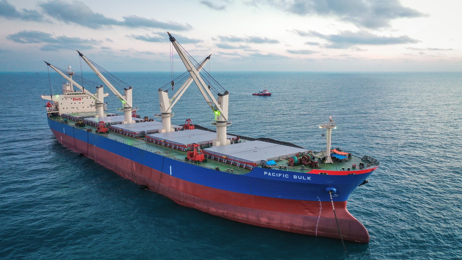 MV. PACIFIC BULK